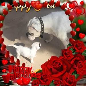 Meet your Posher, Danette